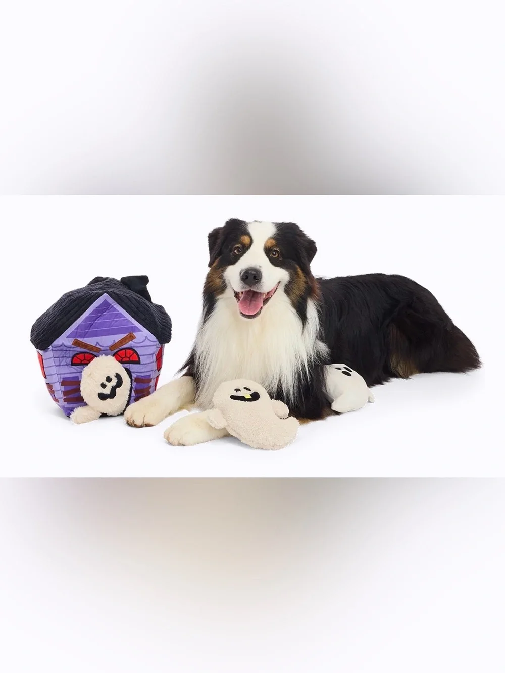 Bark Box XXL Paranormal Snacktivity NEW Multi-part Dog Toy Halloween Haunted Hou